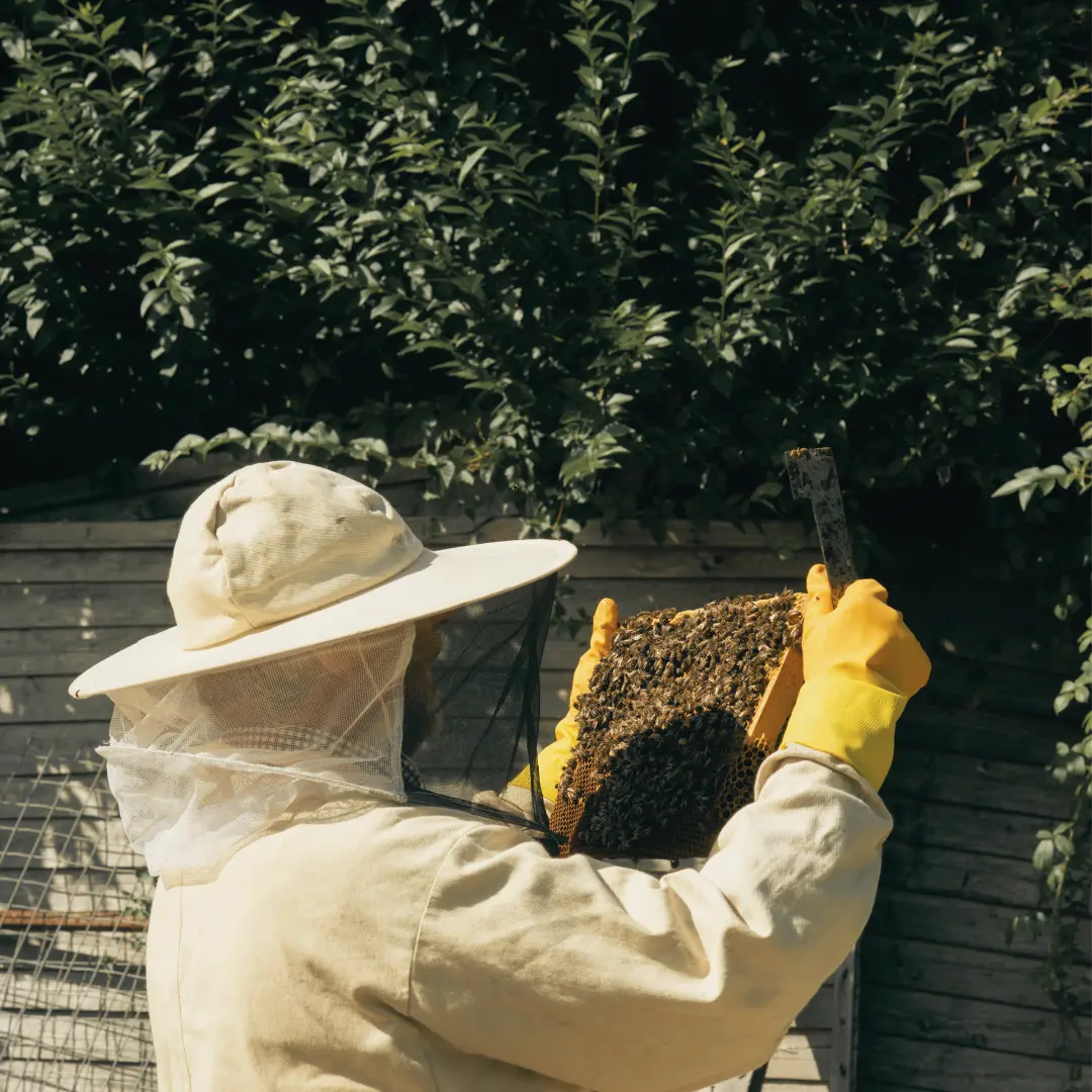 Why Local Honey Costs More Than Store-Bought (And Why That's the Right Price)