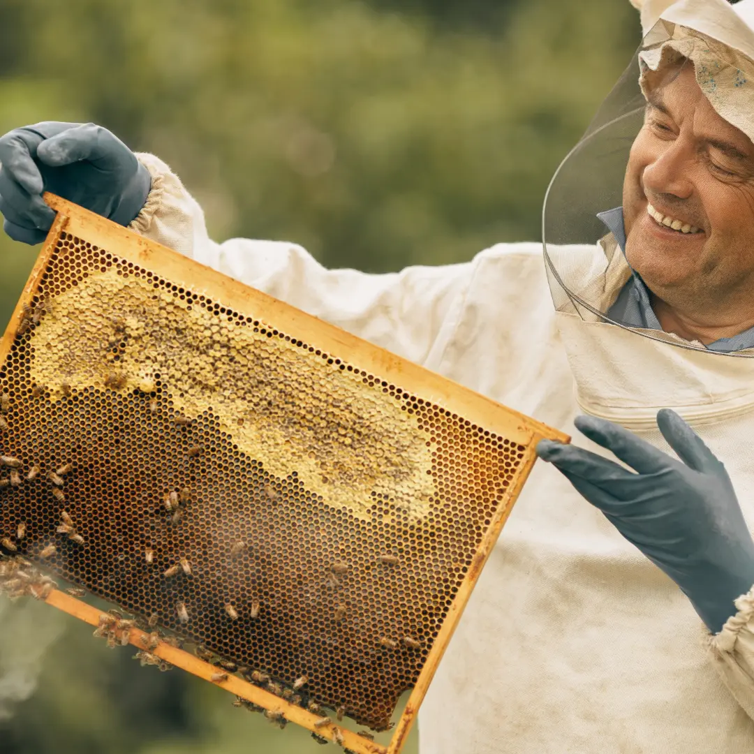 How to Start Buying Local Honey and Never Go Back to Store-Bought