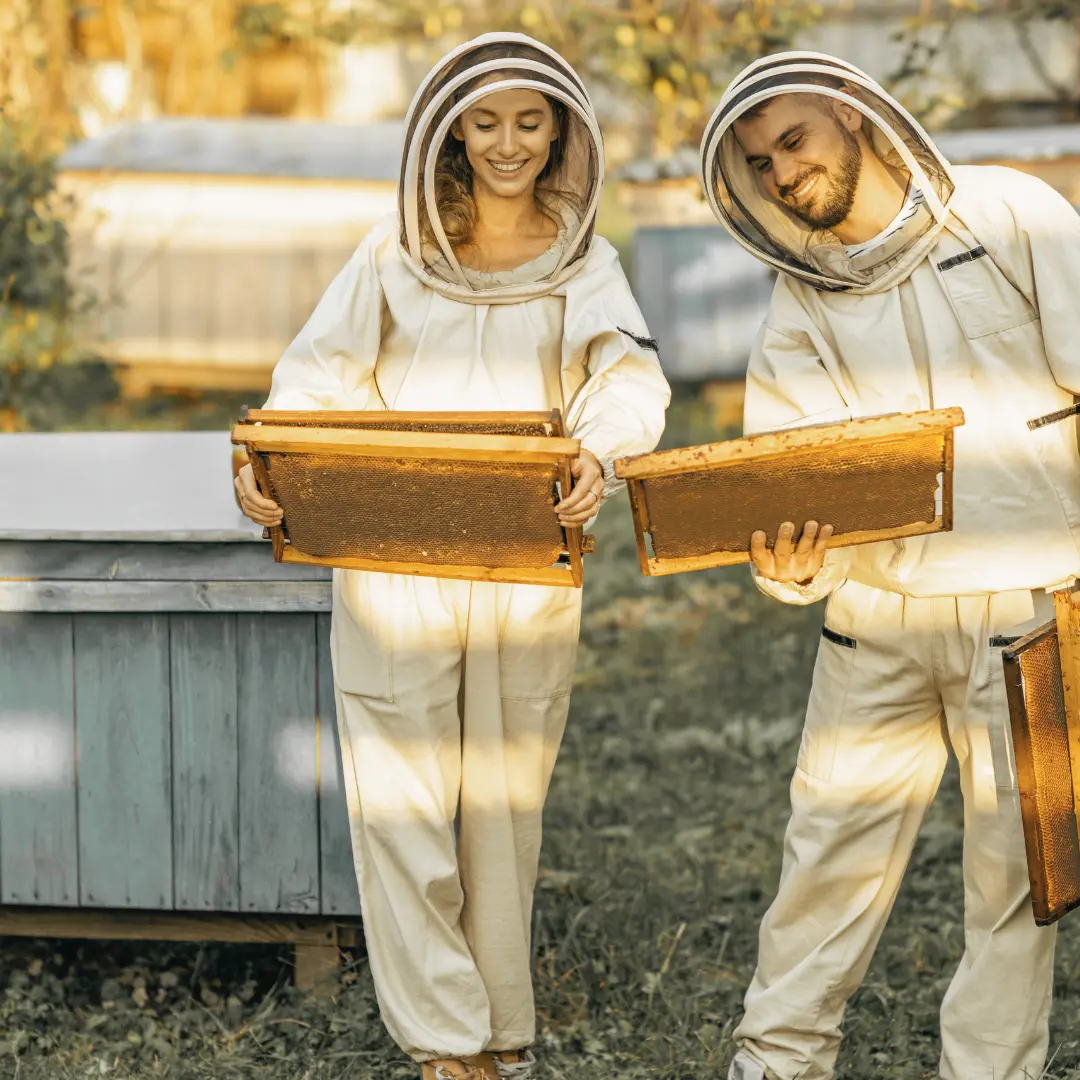 Visiting a Honey Farm: What to Expect and How to Find One Near You