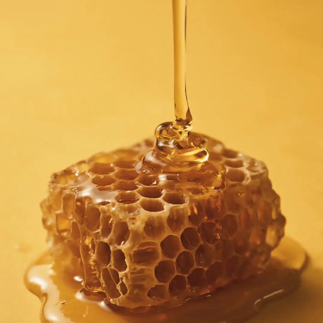 How Honey Is Made: From Flower to Jar